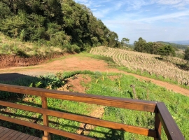 Edifício Vista Bela